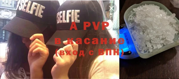 амф Богданович
