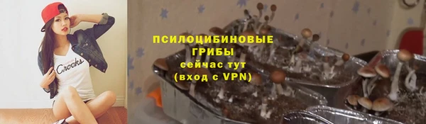 амф Богданович